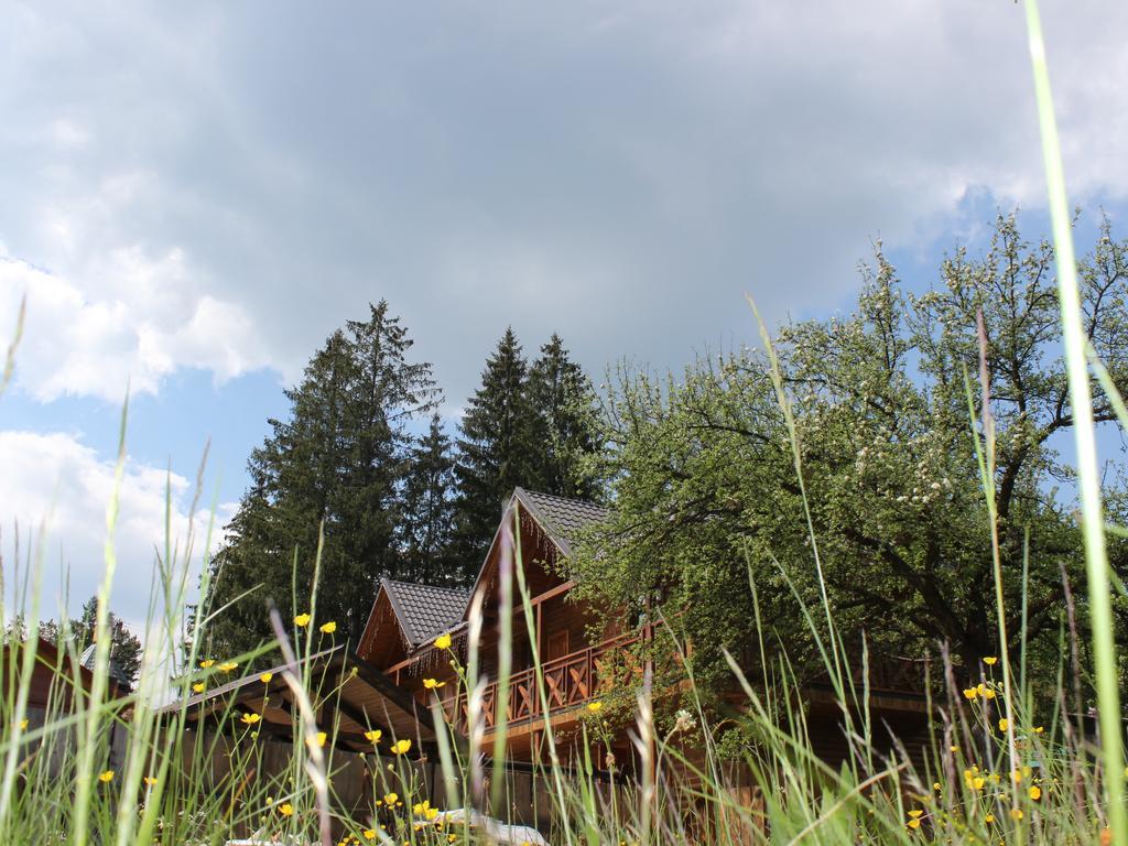 Hotel Krym à Yaremtche Extérieur photo